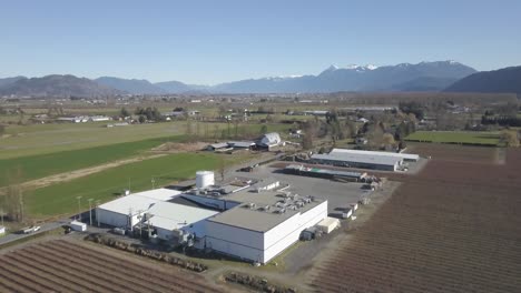 4K-Drone-Shot-of-Berry-farm