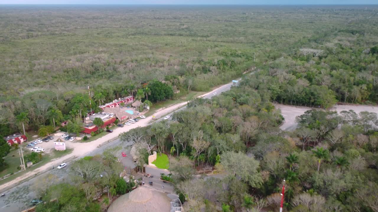 vista aérea superior de un ecosistema de bosque verde con un ambiente saludable y autos que pasan