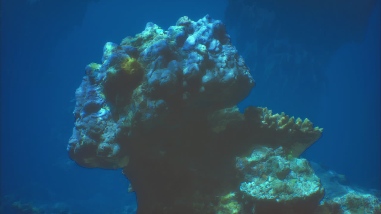 Coral reef formation with vibrant marine life in clear blue waters