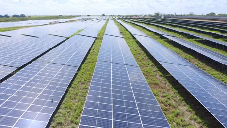 solar panels lined up on photovoltaic farm, renewable energy