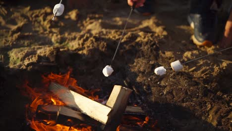 marshmallows roasting over campfire on the beach