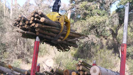 gimbal shot of truck crane grapple picking up wooden logs