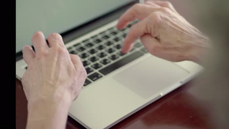 Female-hands-typing-on-keyboard-of-laptop.