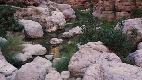 The-turquoise-pools-of-Wadi-Shab-canyon-in-Oman,-handheld-wide-shot