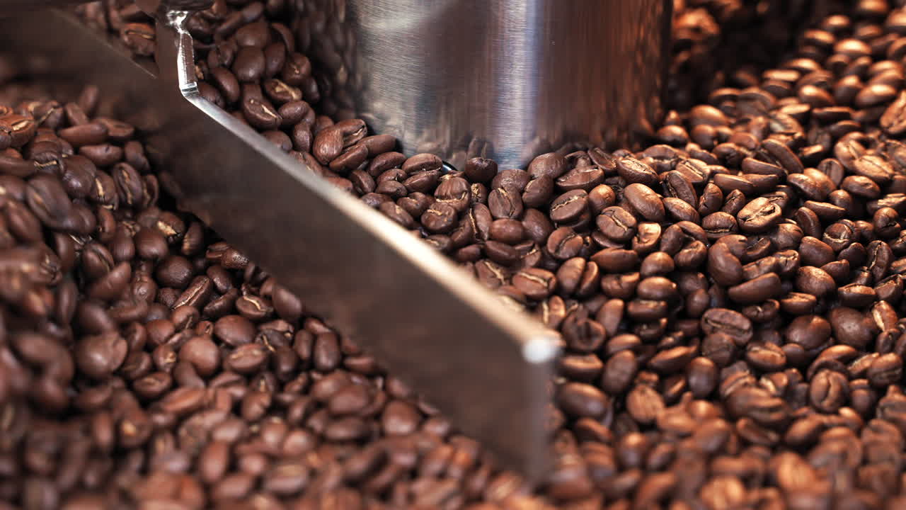 Close-up roasted coffee beans spinning and mixing in drum roaster in slow motion