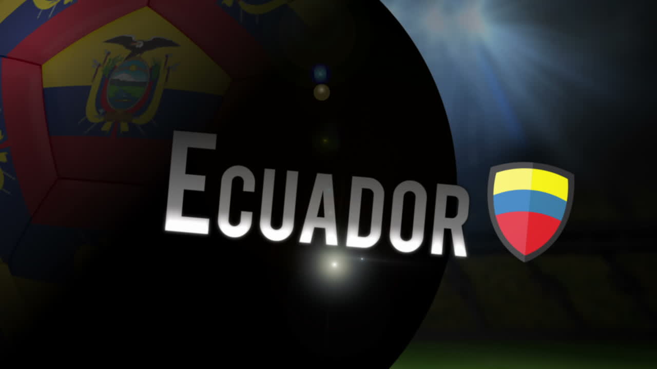animación de la copa del mundo de ecuador 2014 con fútbol
