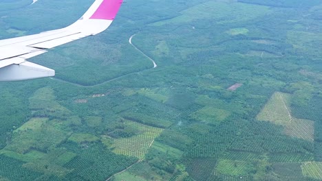 experience a bird's-eye view of expansive green farmland and winding roads from an airplane window.