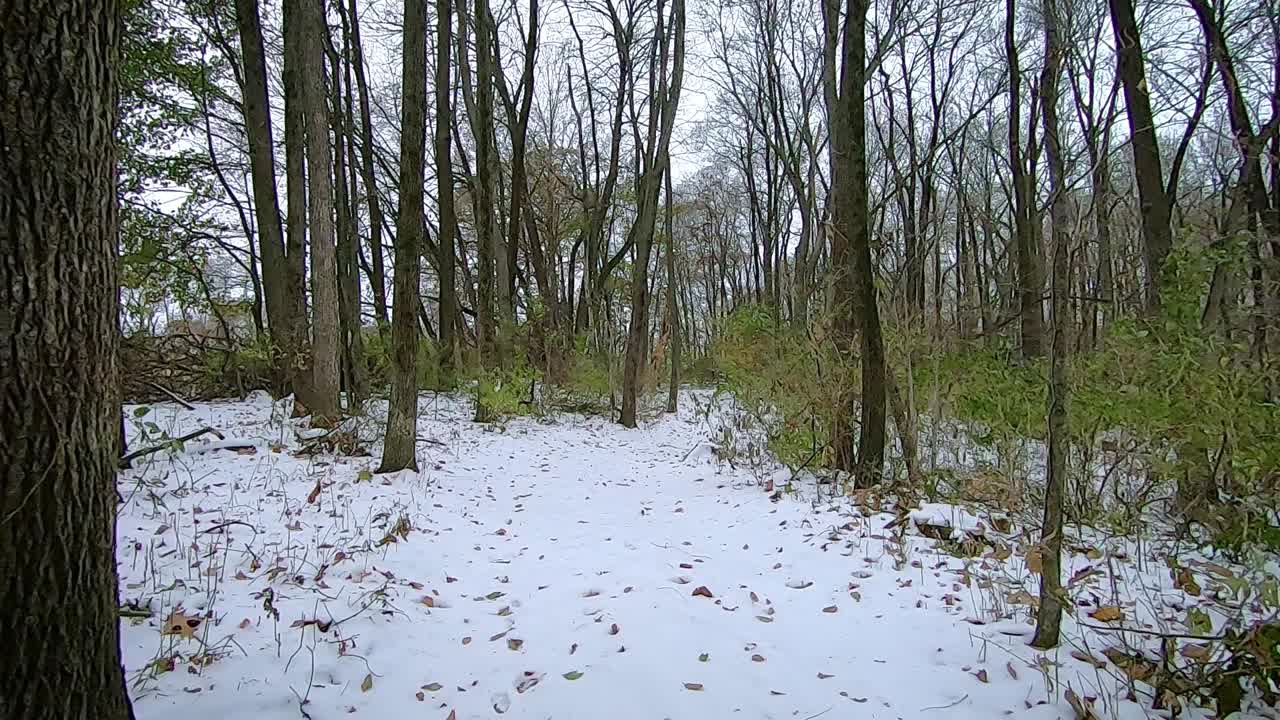 POV from the front of an off road vehicle or ATV while driving through snowy woods on a cloudy afternoon in early winter; point of view