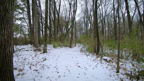 pov from the front of an off road vehicle or atv while driving through snowy woods on a cloudy afternoon in early winter; point of view