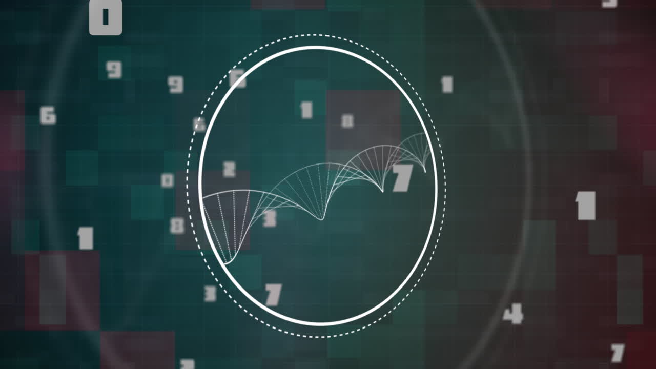 DNA structure on circle against multiple changing numbers