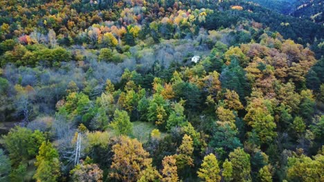 building surrounded by autumn forest