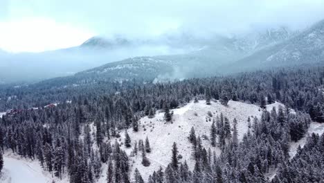 very low clouds over the winter forest in rocky mountains