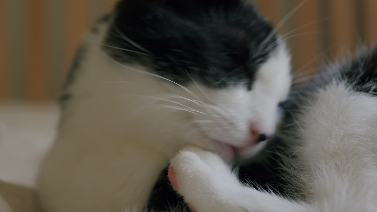 동물의 자기 관리