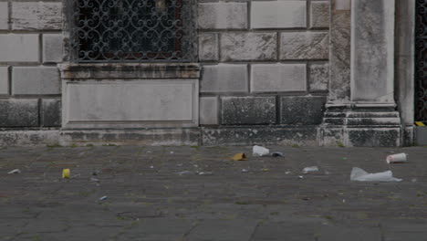 litter and trash on a city street