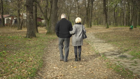 senior couple walking in the park during fall