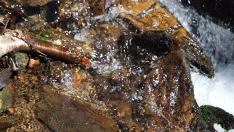 slow motion of clear water flowing in a mountain stream shot at 180 fps
