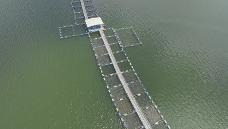 cage fish farming. aerial top-down forward