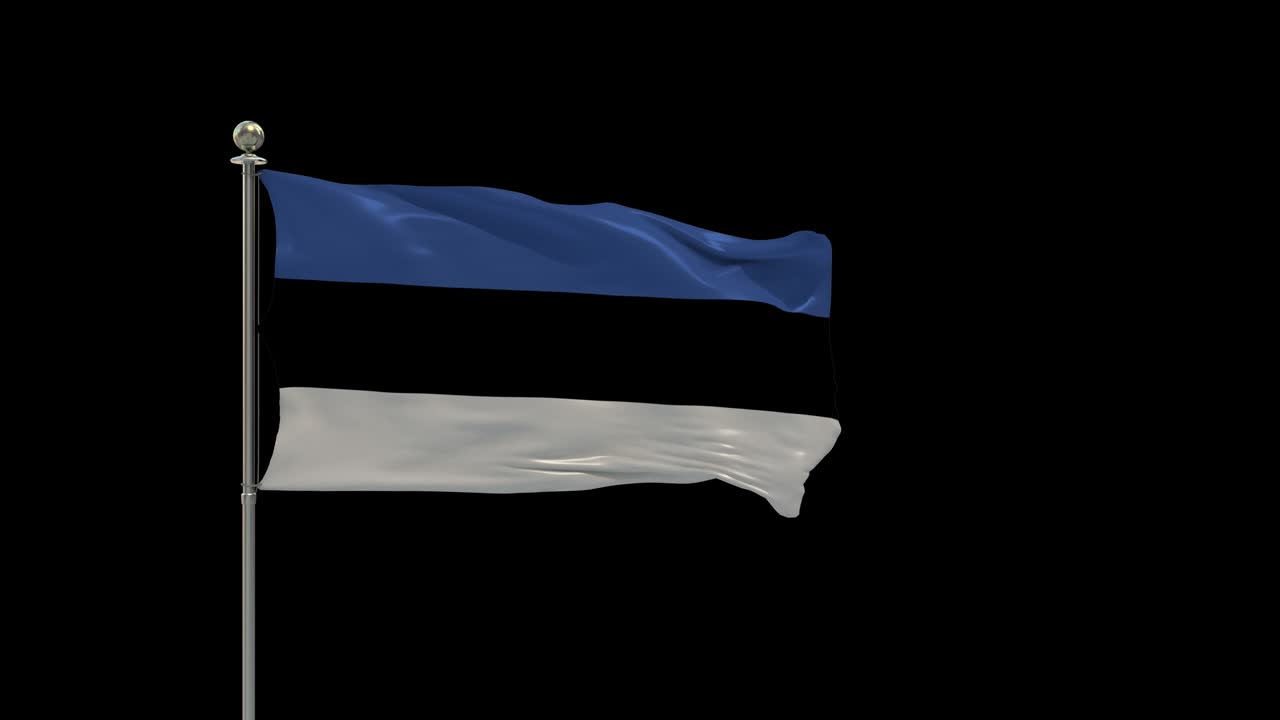 Estonia Various Of Flags Waving National Flag On Pole, Table Flag