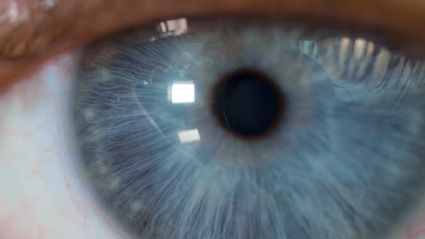 macro disparo de macho caucásico de ojo azul