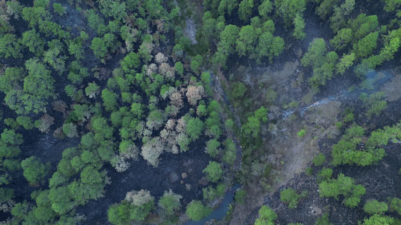 Aerial view of Wildfire in Honduran Mountains Threatening Natural Water Sources