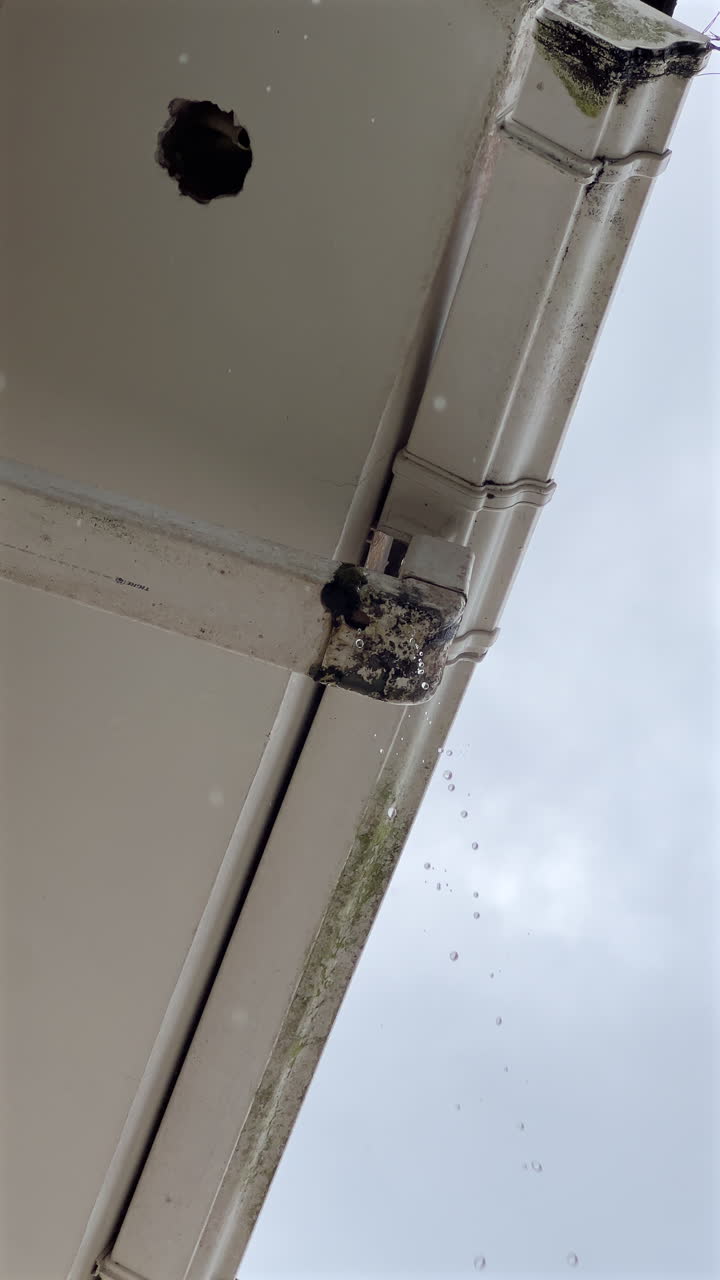 Vertical low angle shot of a broken white rain gutter leaking water on a residential house exterior. High quality 4K ProRes 30fps