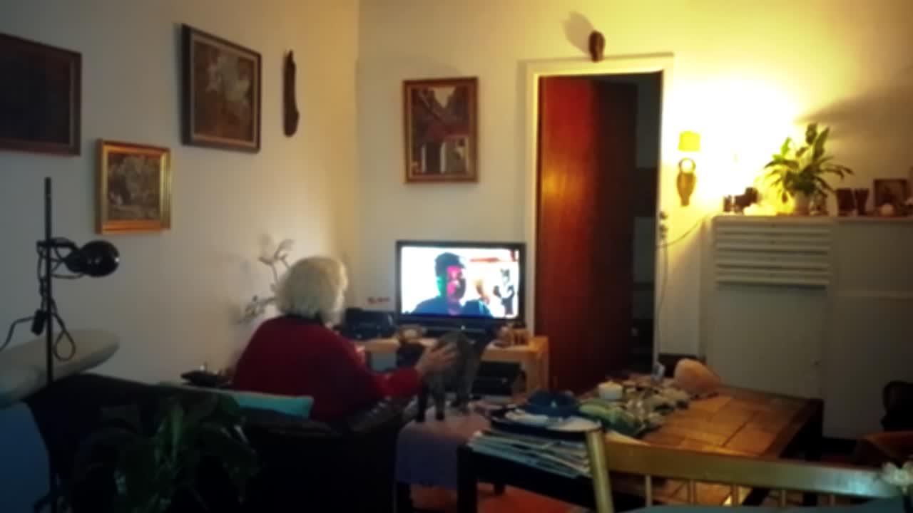 Dogme 95 Film Clip of Elderly Woman Watching Television in Living Room and Petting a Cat
