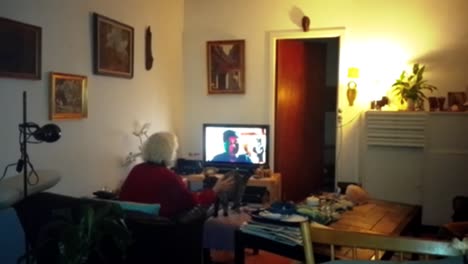 dogme 95 film clip of elderly woman watching television in living room and petting a cat