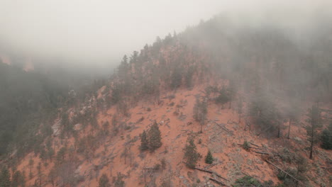 Empuje-Bajo-Hacia-árboles-Dispersos,-Troncos-En-El-Pico-Del-Cañón-Cheyenne-Cubierto-De-Niebla