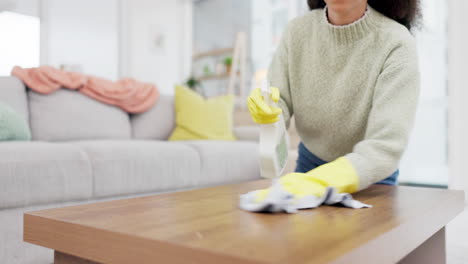 cleaning, home and woman with a cloth