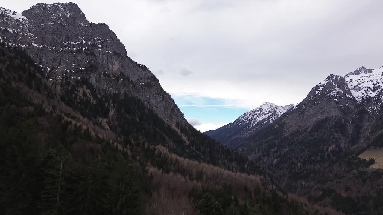 el dron sube la colina y vuela hacia el bosque de pinos rodeado de cumbres cubiertas de nieve.