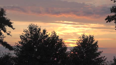 orange and yellow sunset through plants and trees during evening or dusk and summer time while sun sets