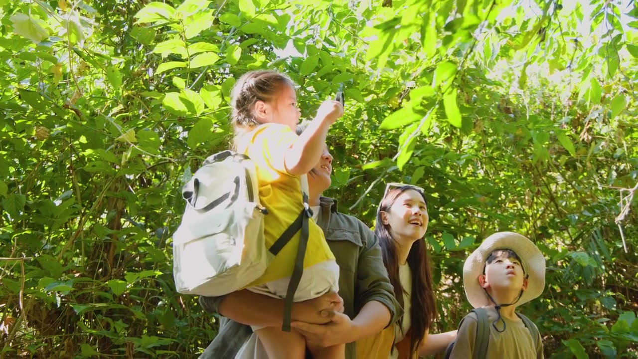 A family with children explores a dense jungle trail under bright natural sunlight and greenery.