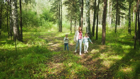 boy holds small camera capturing surroundings while walking through forest alongside young girl and elder sister on leafy path, surrounded by vibrant greenery, trees, and soft filtered sunlight