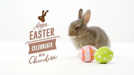 Animation-of-easter-eggs-with-bunny-and-happy-easter-text