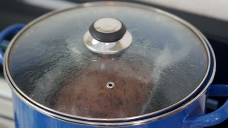 cocinar carne dentro de una olla timelapse carne mexicana sellada al vacío