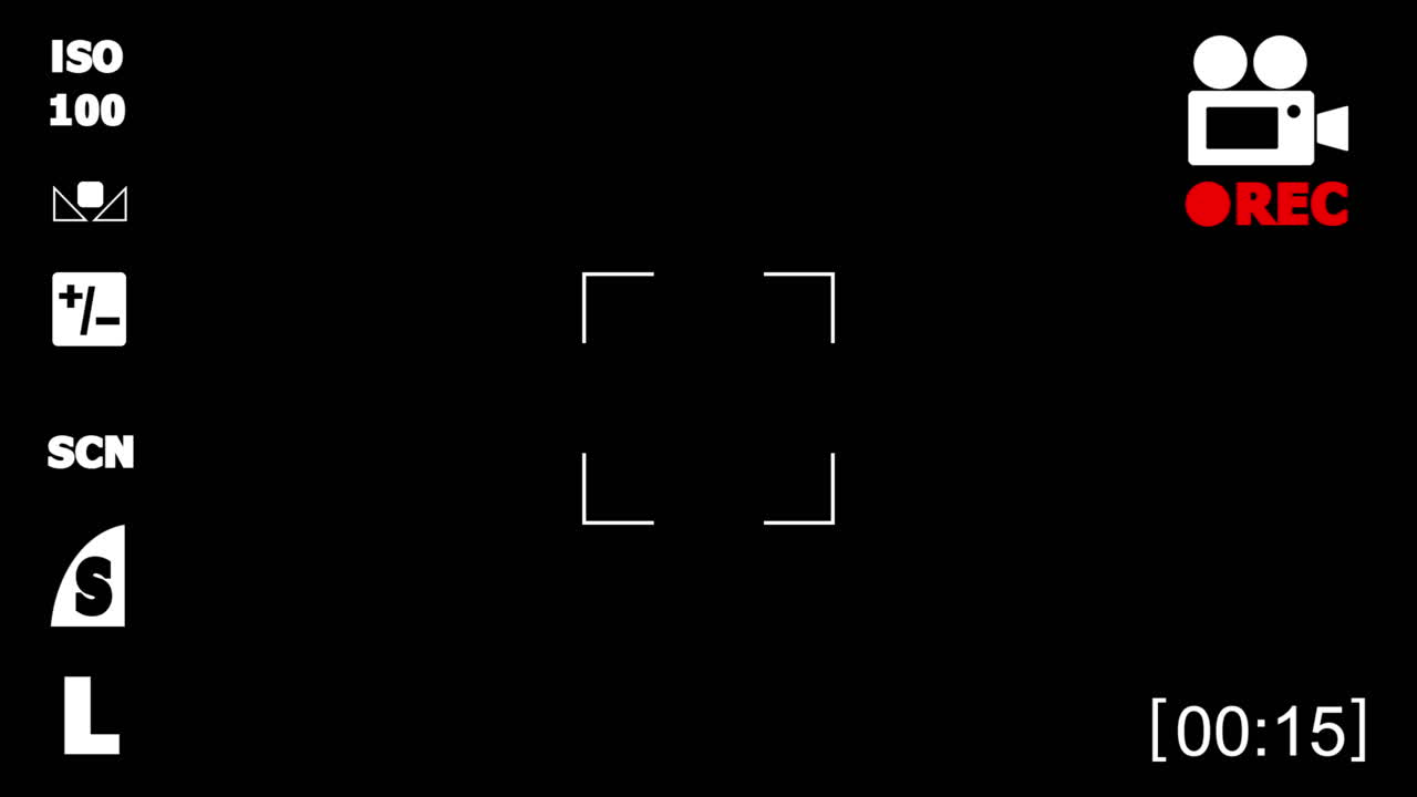 Camera Recording Interface with Blinking REC Indicator