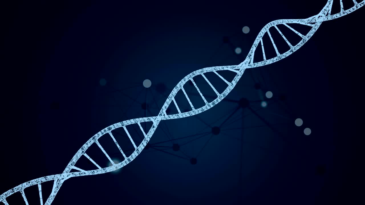 adn y plexo en un fondo azul. animación de bucle