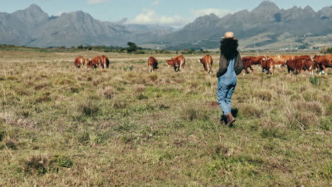 Ganado,-Granja-Y-Mujer-Caminan-Con-Vacas