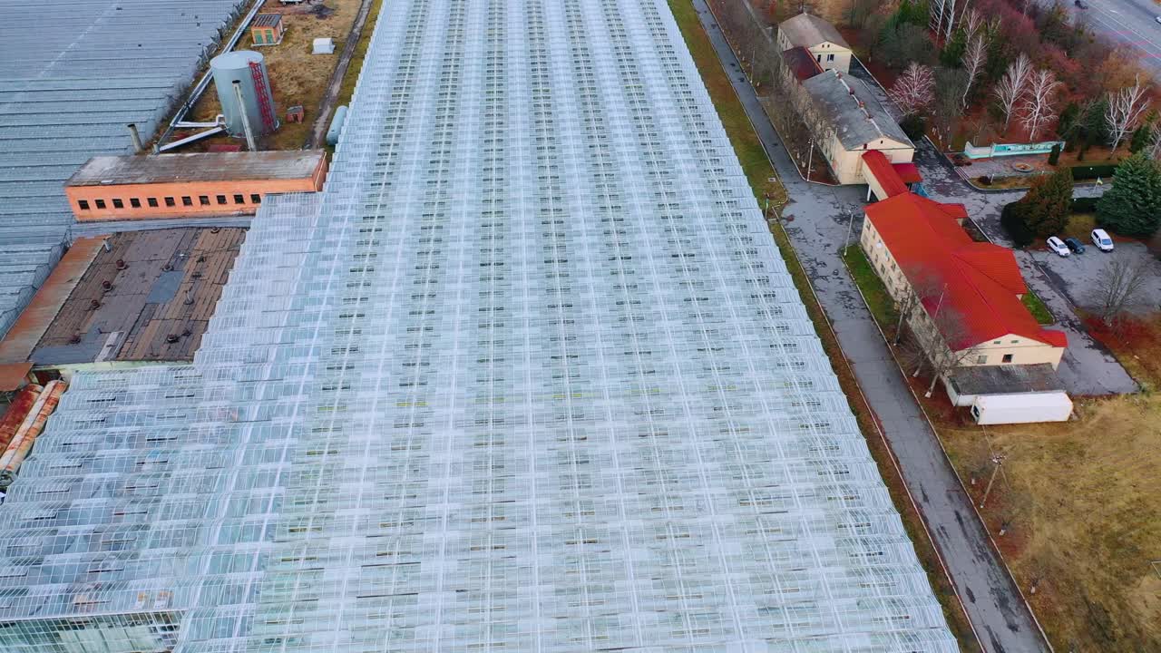 Flying over a large greenhouse with vegetables. Glass roof frames.. Large industrial greenhouses