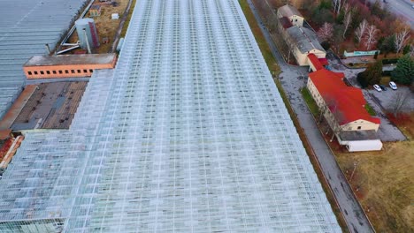 flying over a large greenhouse with vegetables. glass roof frames.. large industrial greenhouses