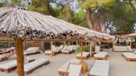 playas limpias con bandera azul de la península de halkidiki, grecia
