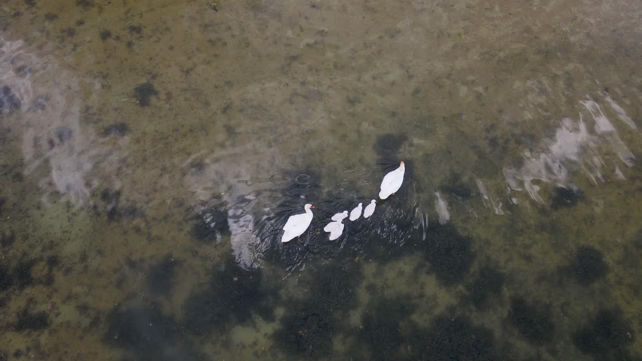 일부 오리가 가족을 즐기는 푸른 물이 있는 케어자 호수의 공중 전망