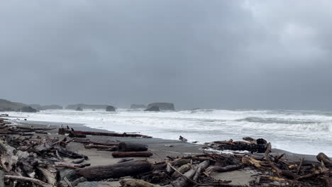 troncos en una playa de oregon y espuma de mar volando en el aire durante la tormenta