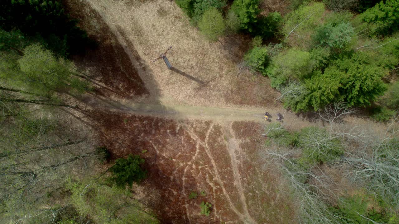 un grupo de amigos recorre un sendero natural a través de un bosque y un lugar con postes de alta tensión en un soleado día de primavera