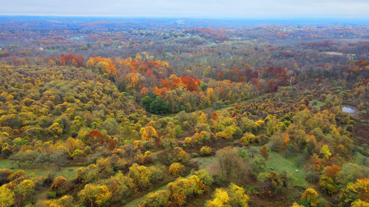 elevándose sobre un arboreto y un valle durante el otoño en el pico del follaje