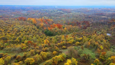 Elevándose-Sobre-Un-Arboreto-Y-Un-Valle-Durante-El-Otoño-En-El-Pico-Del-Follaje