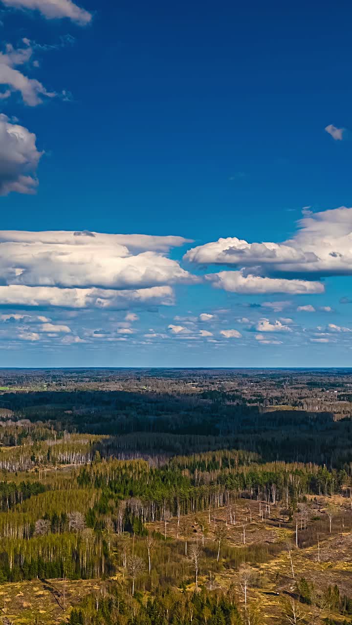 An aerial timelapse captures scattered clouds moving across a deep blue sky above a vast Latvian wilderness of pine and bare deciduous trees, showing the landscape in early spring
