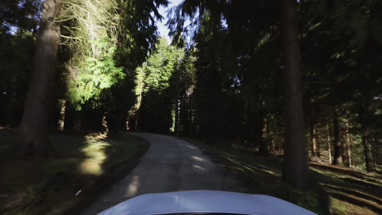 vista de un coche conduciendo a través de un bosque