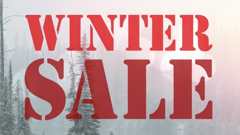 animation of winter sale text in red letters over winter landscape background