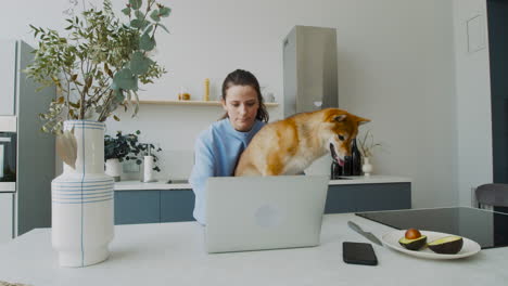 mujer joven que trabaja con su computadora portátil mientras se aferra a su lindo perro